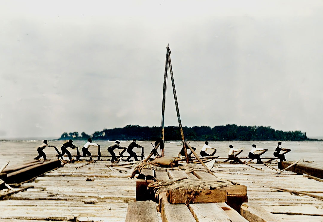 Maison-des-cageux-_-image-2